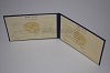 Стоимость диплома техникума УзбекАССР 1975-1991 г. в Питкяранте (Республика Карелия)