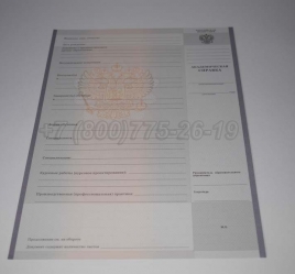 Академическая Справка Техникума 2022г в Петрозаводске