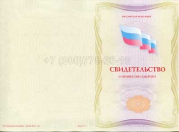Свидетельство о Профессии Рабочего "Авиационный механик (техник) по планеру и двигателям" в Петрозаводске