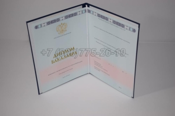 Диплом Бакалавра 2023г ГОЗНАК в Петрозаводске
